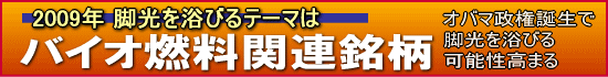 バイオ燃料関連銘柄特集