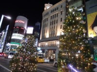 【Ｎｅｗｓで一枚】師走の銀座にイルミネーション点灯