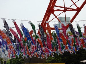 【季節の一枚】３３３匹のこいのぼり
