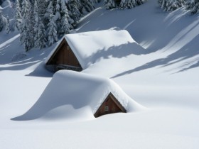 雪 豪雪