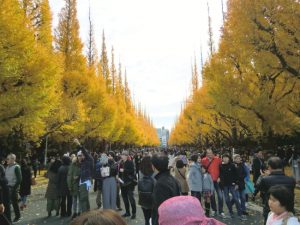 【季節の一枚】神宮外苑の黄葉に人・人・人