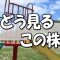 どう見るこの株