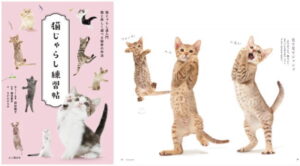 【この一冊】世界ではじめての猫じゃらしの本、猫じゃらしの達人による『猫じゃらし練習帖』刊行