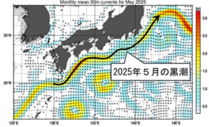 【黒潮大蛇行が７年９か月で終息】気象庁と海保が発表：過去最長の黒潮大蛇行が収束、船舶運航や漁業に安定要因