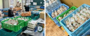 秋の生しいたけの収穫と価格、旬入り目前、価格安定で消費堅調――農業総合研究所調べ