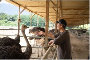 吉野家ホールディングス、ダチョウ肉の新研究成果を発表、疲労回復と血管老化防止に期待