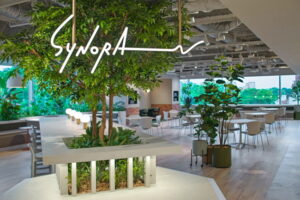 イトーキ、ＨＢＡの本社オフィス刷新を支援、地方発ＤＸ人材戦略のモデルに