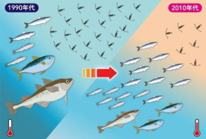 東京大学など、魚類体重減少の主因は「餌の競争」７５％と解明