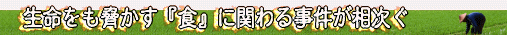 wHxɊւ鎖
