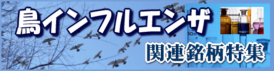 CtGU֘AW